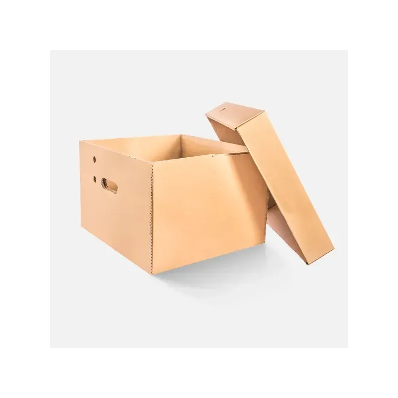 Caja Archivadora con Tapa Separada 29x39x33 cm | Organización y Resistencia