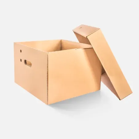 Caja Archivadora con Tapa Separada 29x39x33 cm | Organización y Resistencia